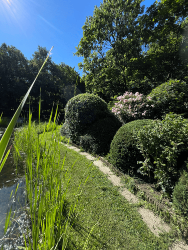 tarsashazi-kertepites-karbantartas-3